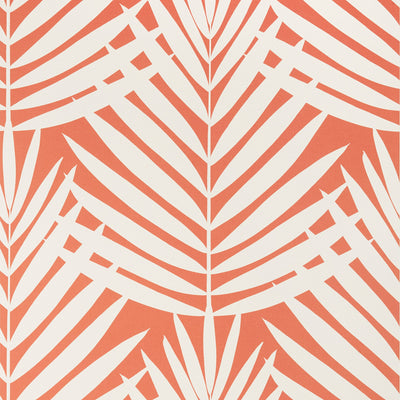 CROATIA - Coral