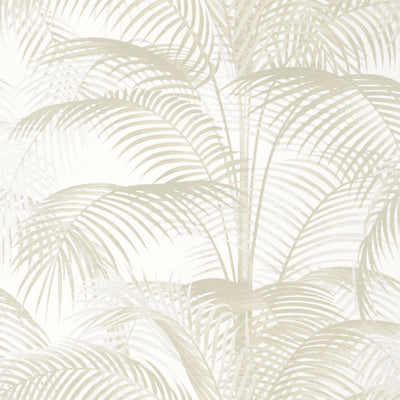 DELRAY - Pearl