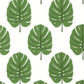 MONSTERA - Green