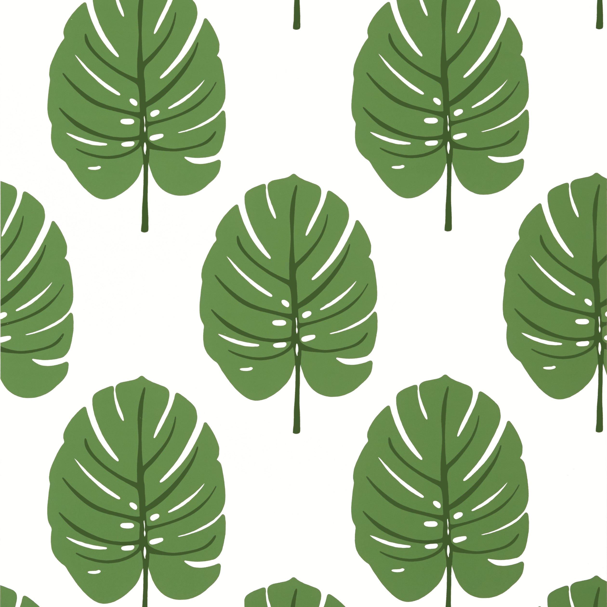 MONSTERA - Green