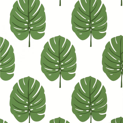 MONSTERA - Green