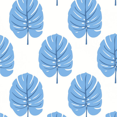 MONSTERA - Blue