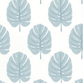 MONSTERA - Spa Blue