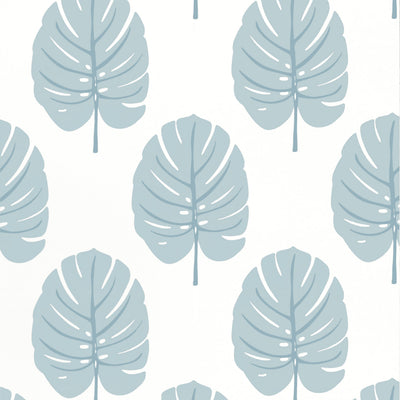 MONSTERA - Spa Blue