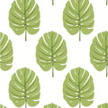 MONSTERA - Apple Green