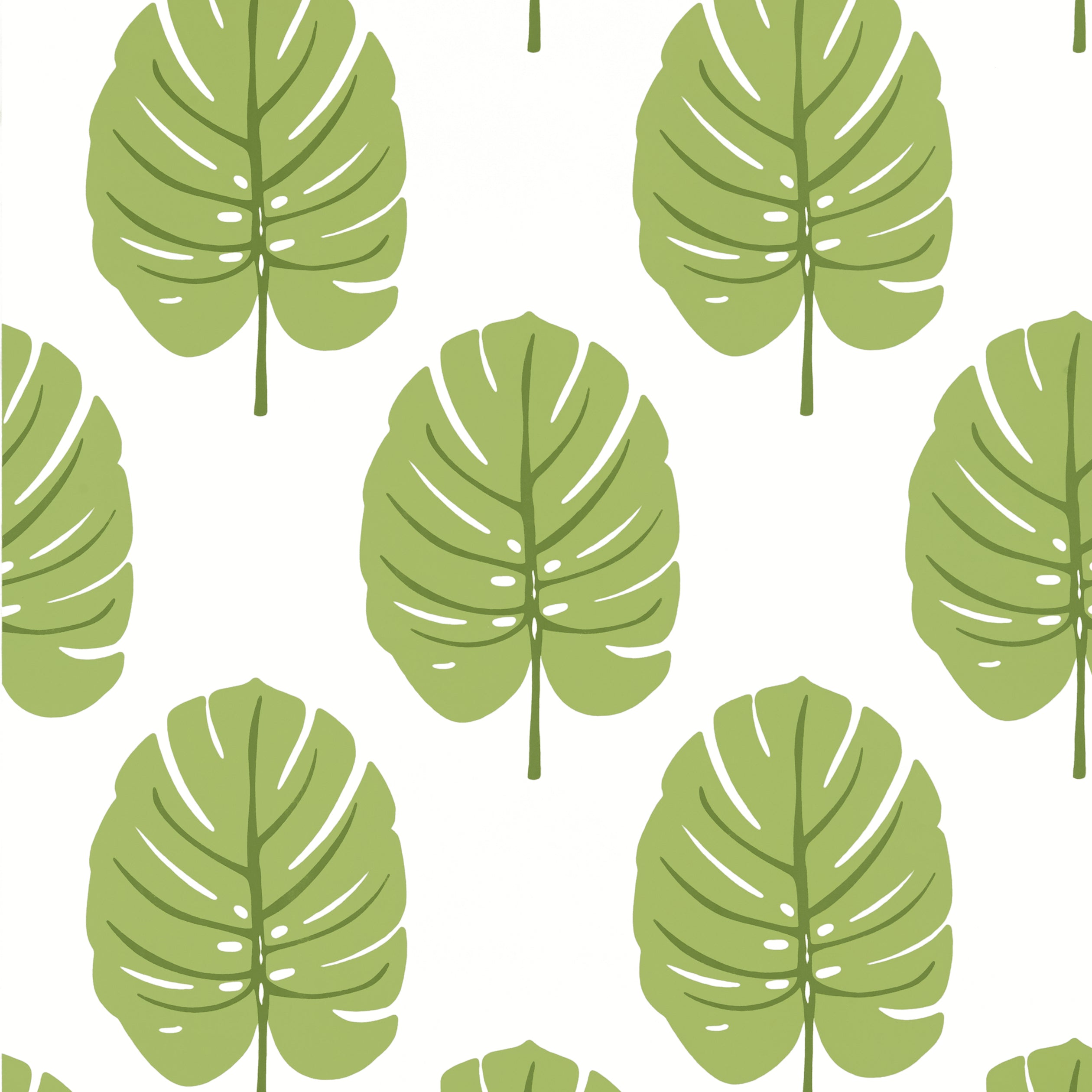MONSTERA - Apple Green