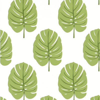 MONSTERA - Apple Green