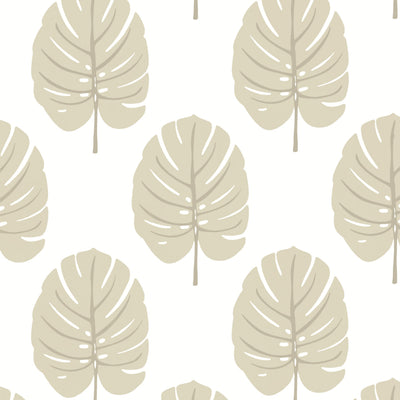 MONSTERA - Beige