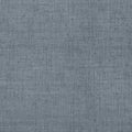 BANKUN RAFFIA - Blue