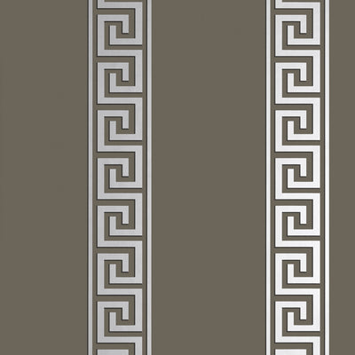 ANDREAS STRIPE - Metallic Silver on Charcoal