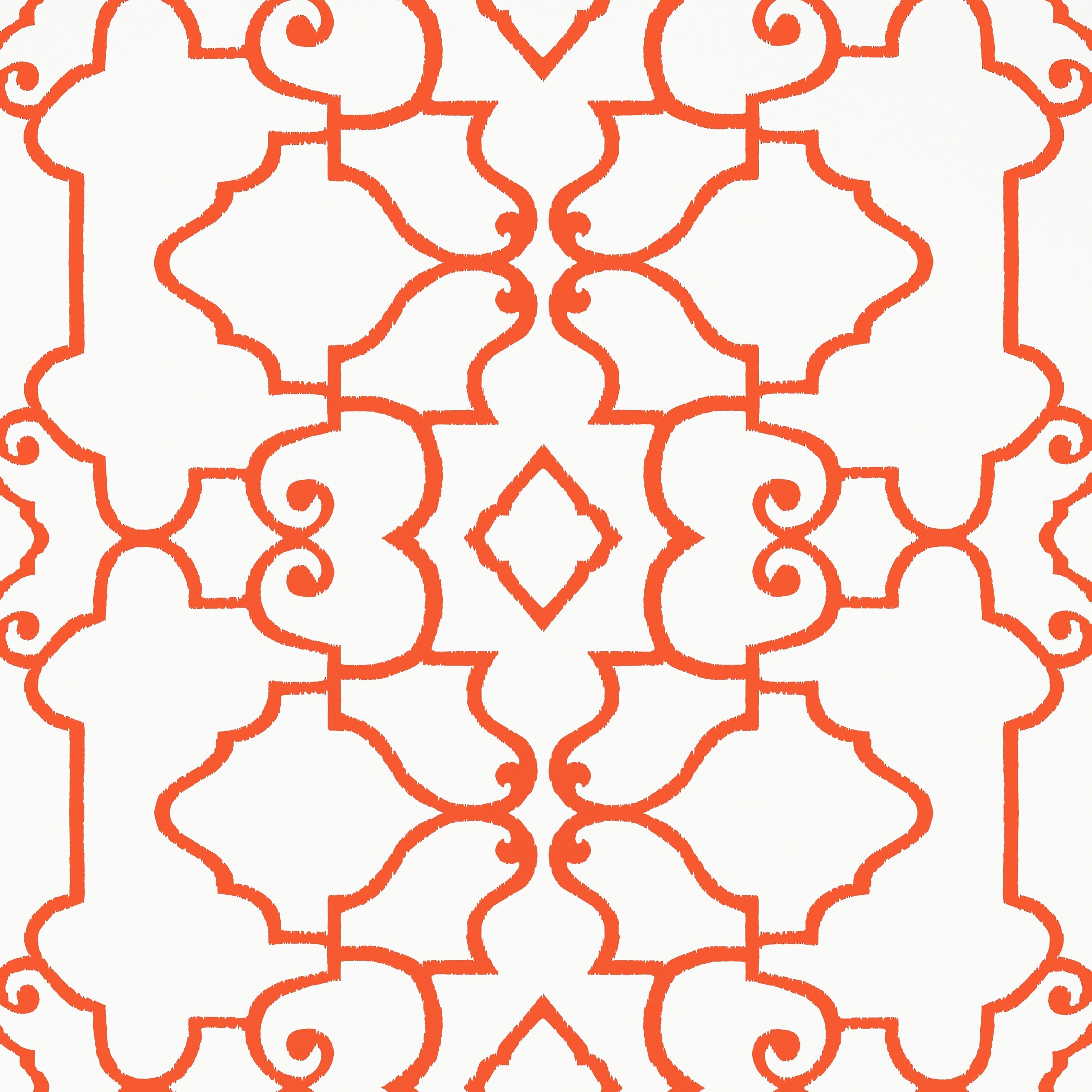 OGDEN - Coral