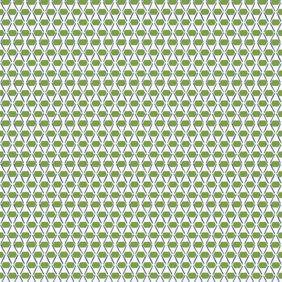 DENVER - Green and Blue