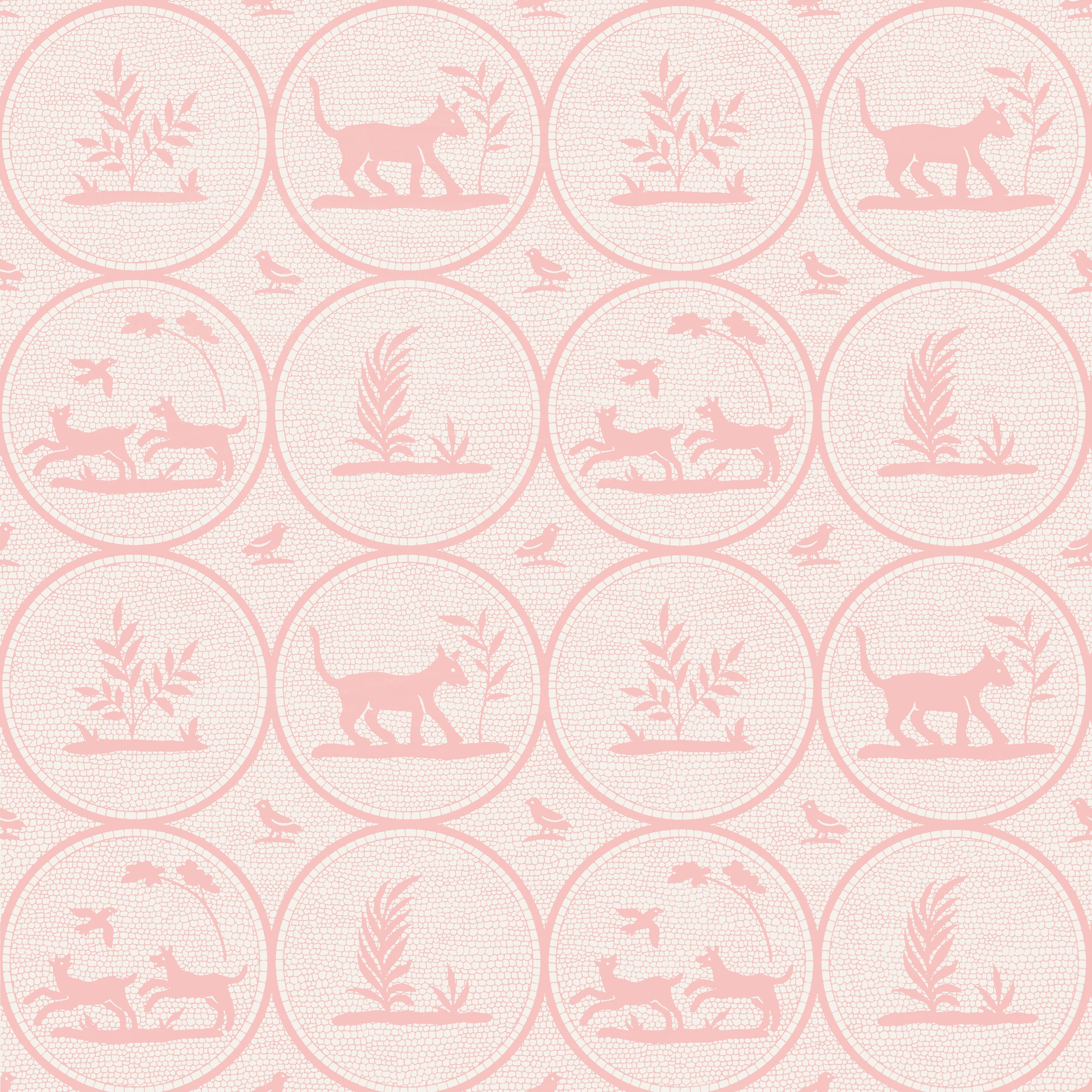 DOOLEY - Pink