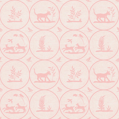 DOOLEY - Pink