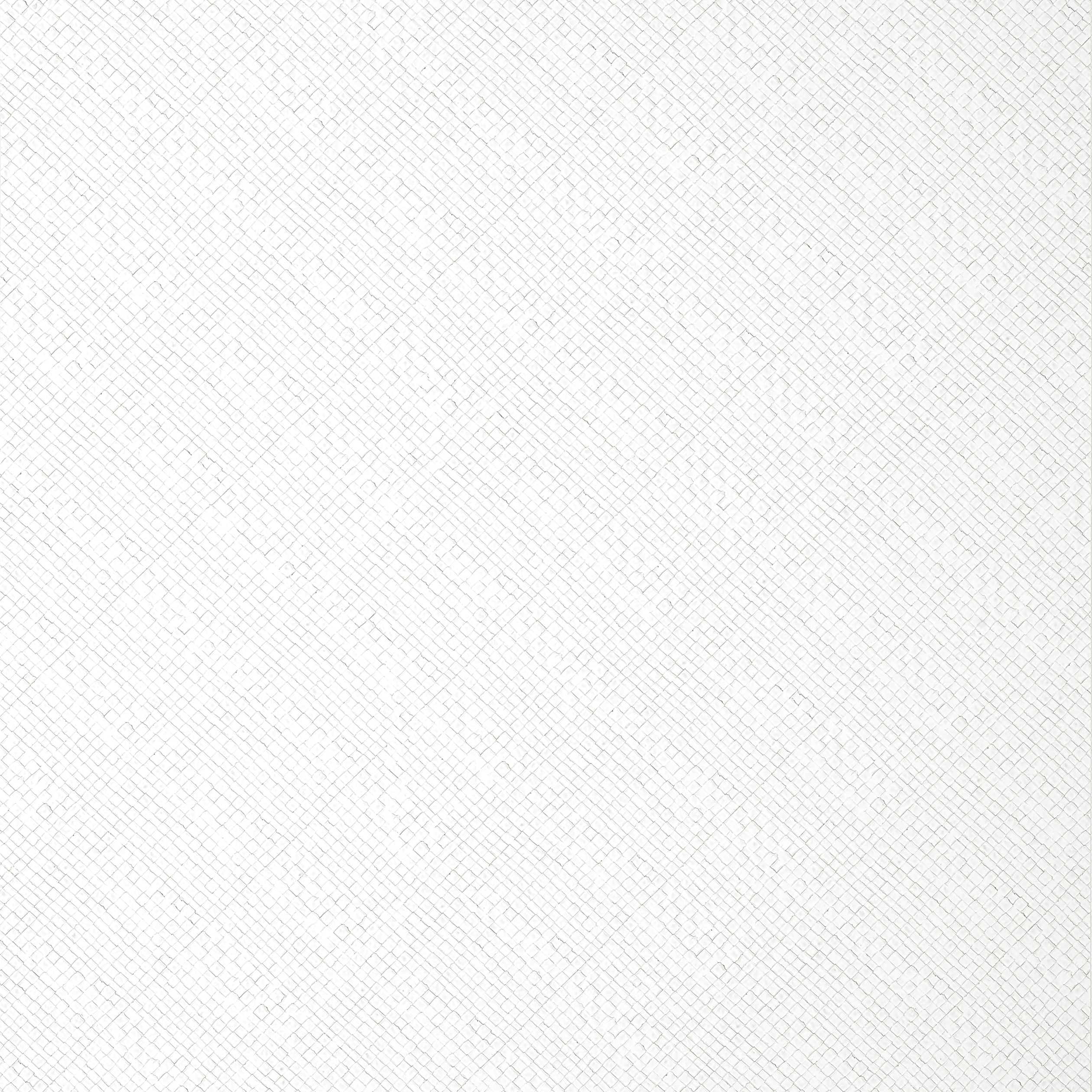 JACKSON WEAVE - Dove