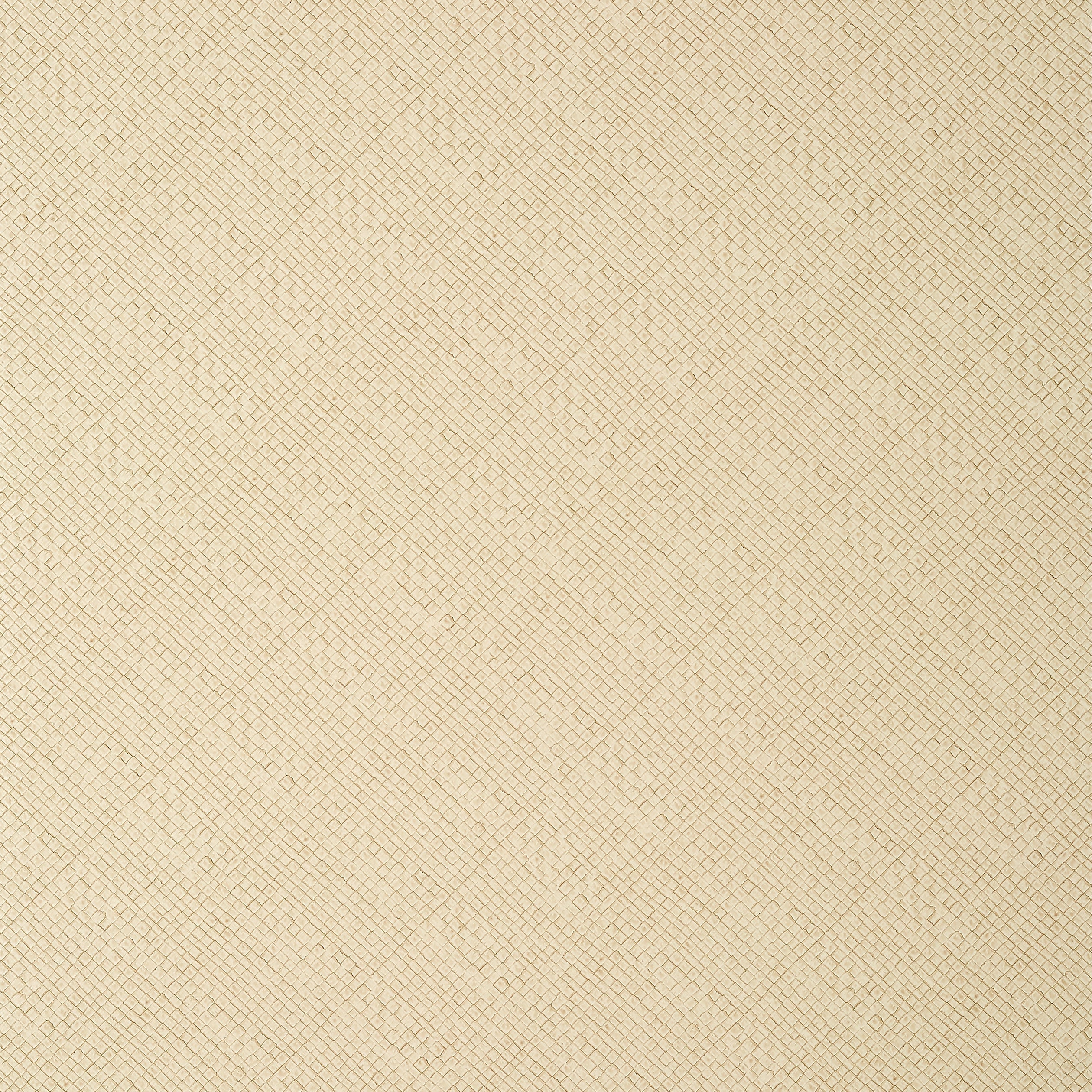 JACKSON WEAVE - Cashmere