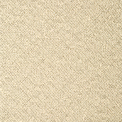 JACKSON WEAVE - Cashmere
