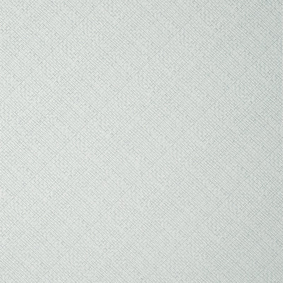 JACKSON WEAVE - Glacier