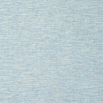 SPIRO - Cornflower