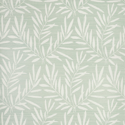 SUMMER LEAVES - Willow