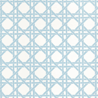 CANARY TRELLIS - Light Blue