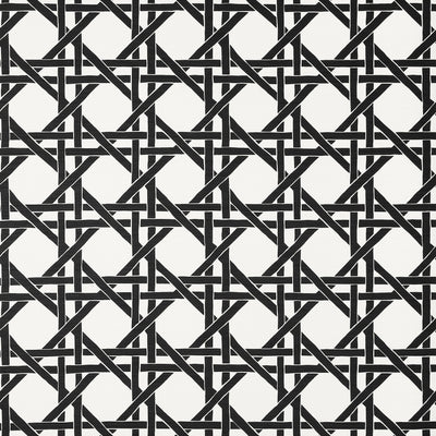 CANARY TRELLIS - Black