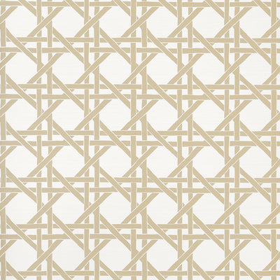 CANARY TRELLIS - Beige