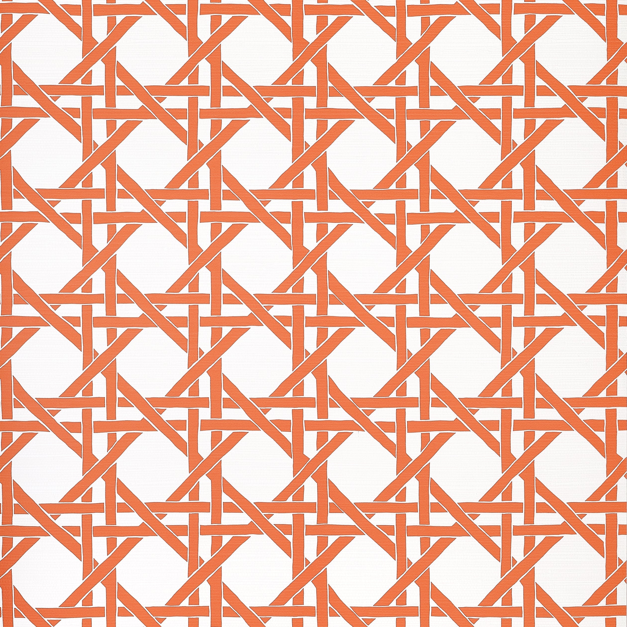 CANARY TRELLIS - Coral