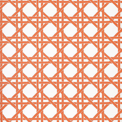 CANARY TRELLIS - Coral