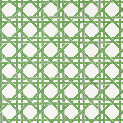 CANARY TRELLIS - Green