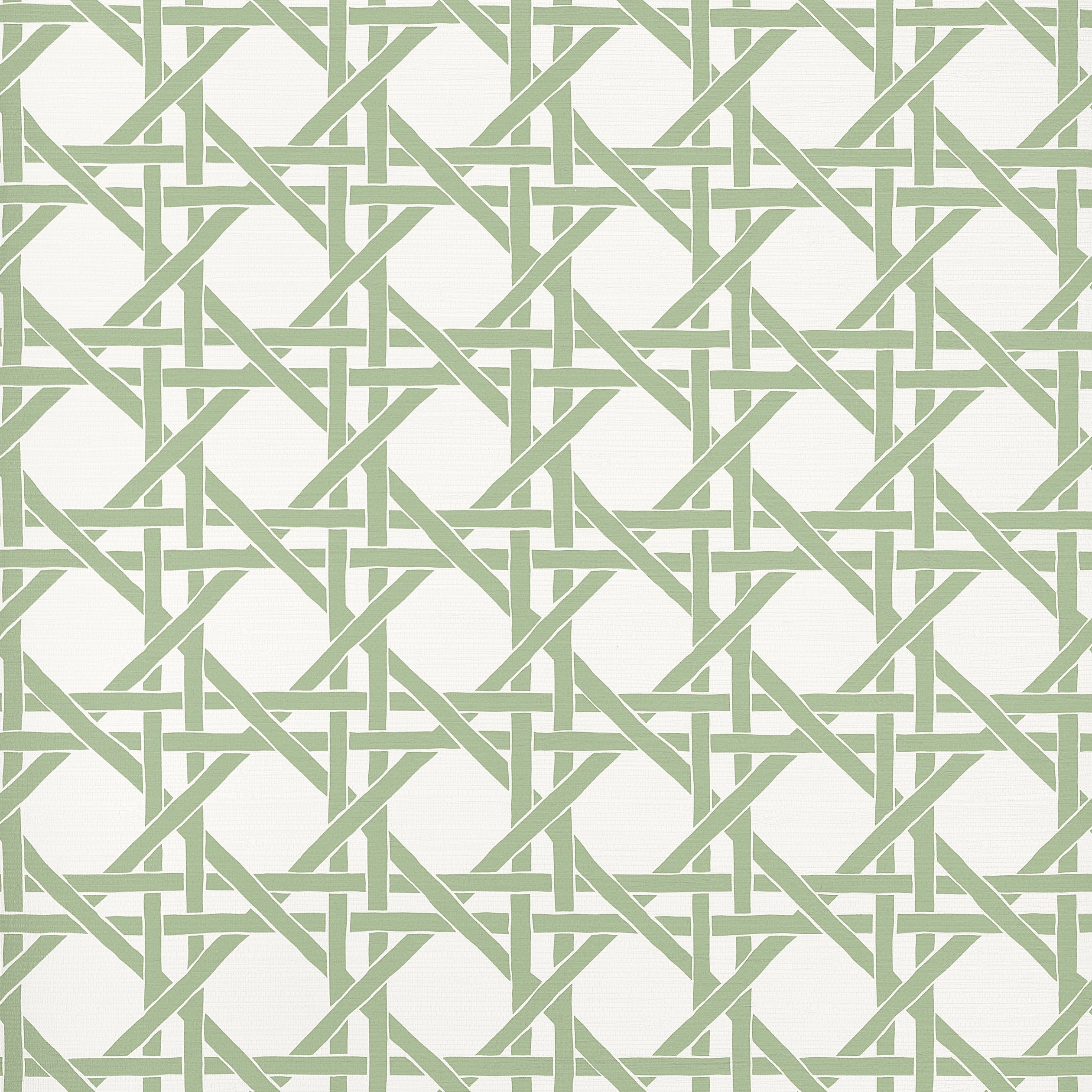 CANARY TRELLIS - Willow
