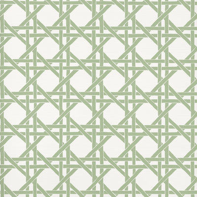 CANARY TRELLIS - Willow