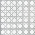CANARY TRELLIS - Metallic Silver