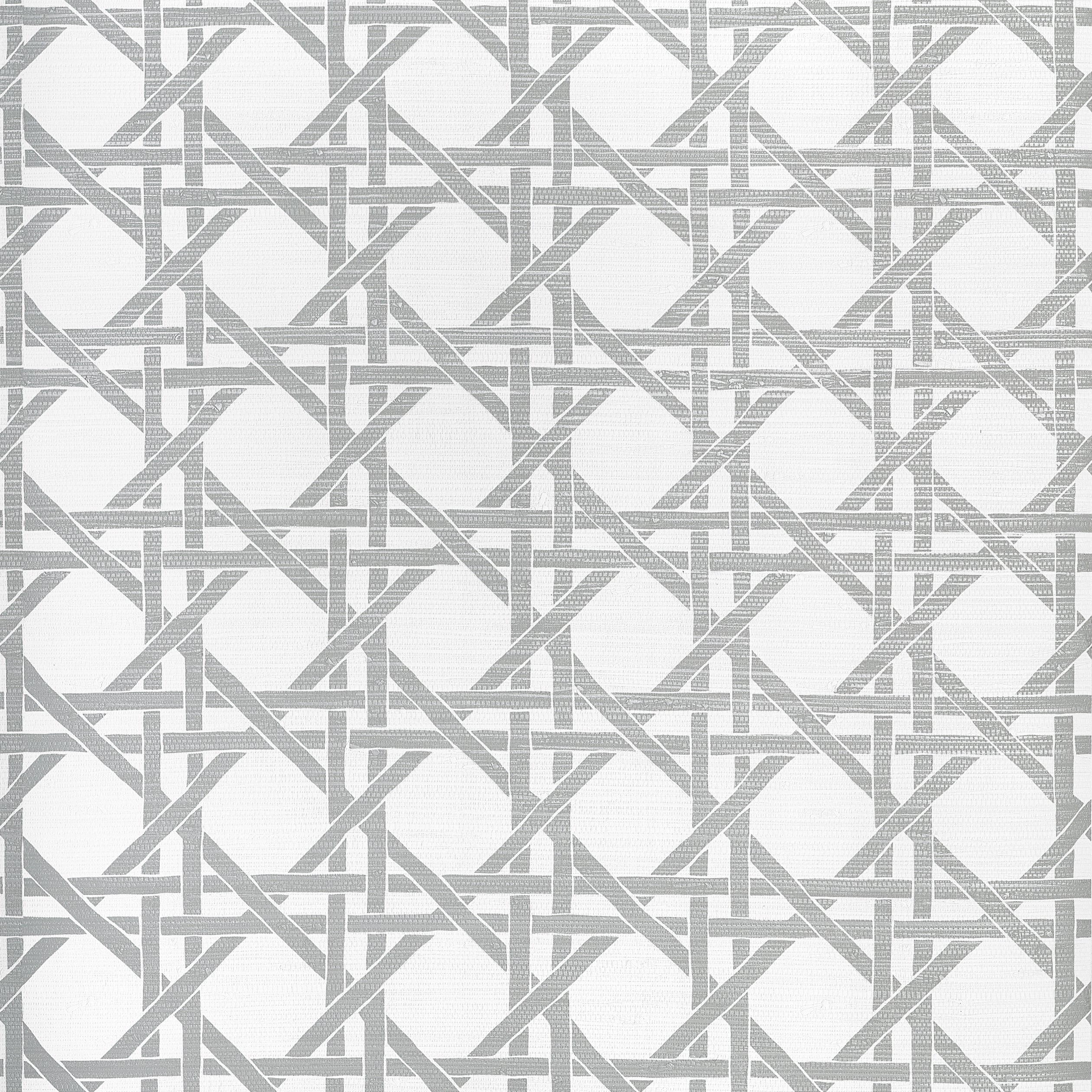 CANARY TRELLIS - Metallic Silver