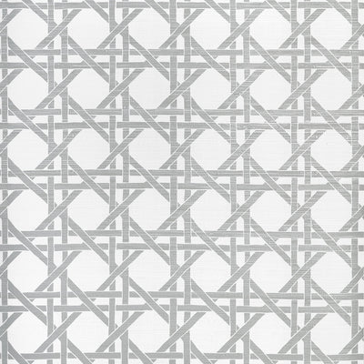 CANARY TRELLIS - Metallic Silver