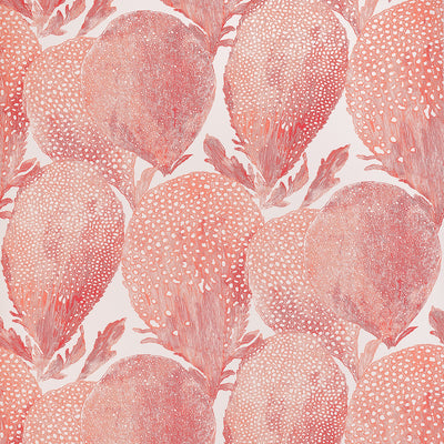 UNDER THE SEA - Coral
