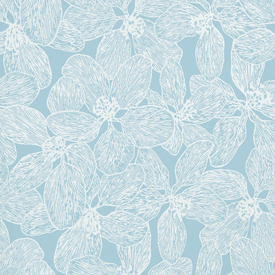ISLAND ORCHID - Light Blue