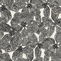 ISLAND ORCHID - Black and White