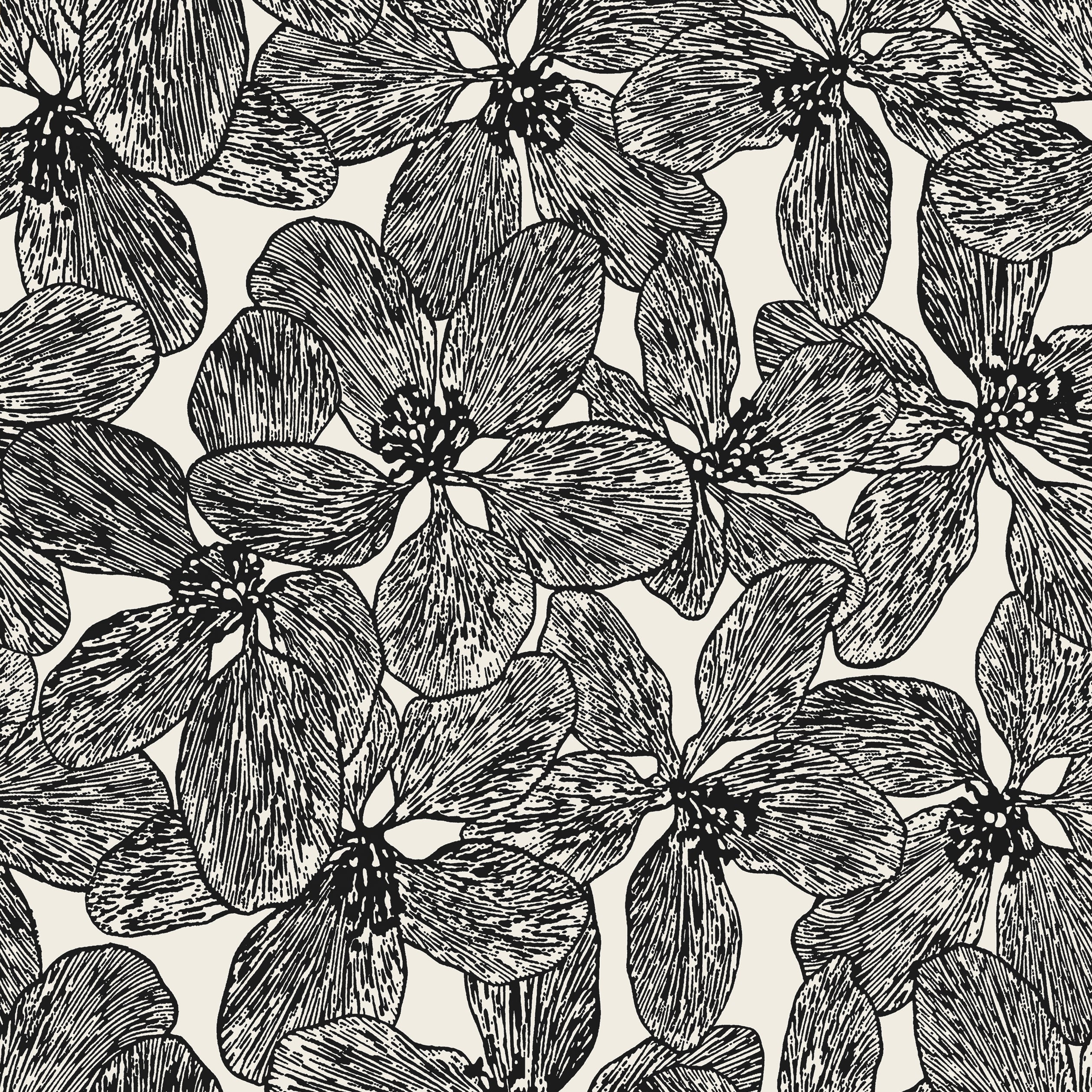 ISLAND ORCHID - Black and White