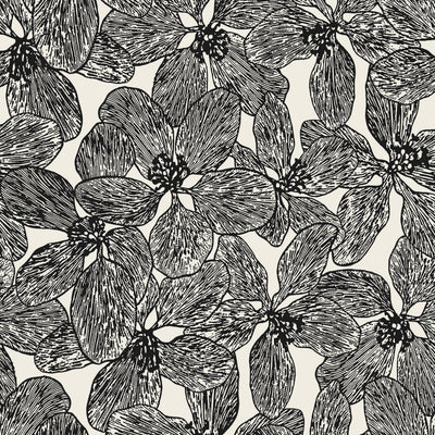 ISLAND ORCHID - Black and White