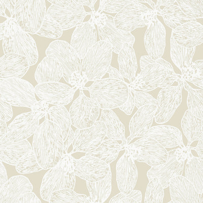 ISLAND ORCHID - Beige