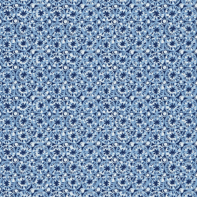SAND DOLLAR - Blue