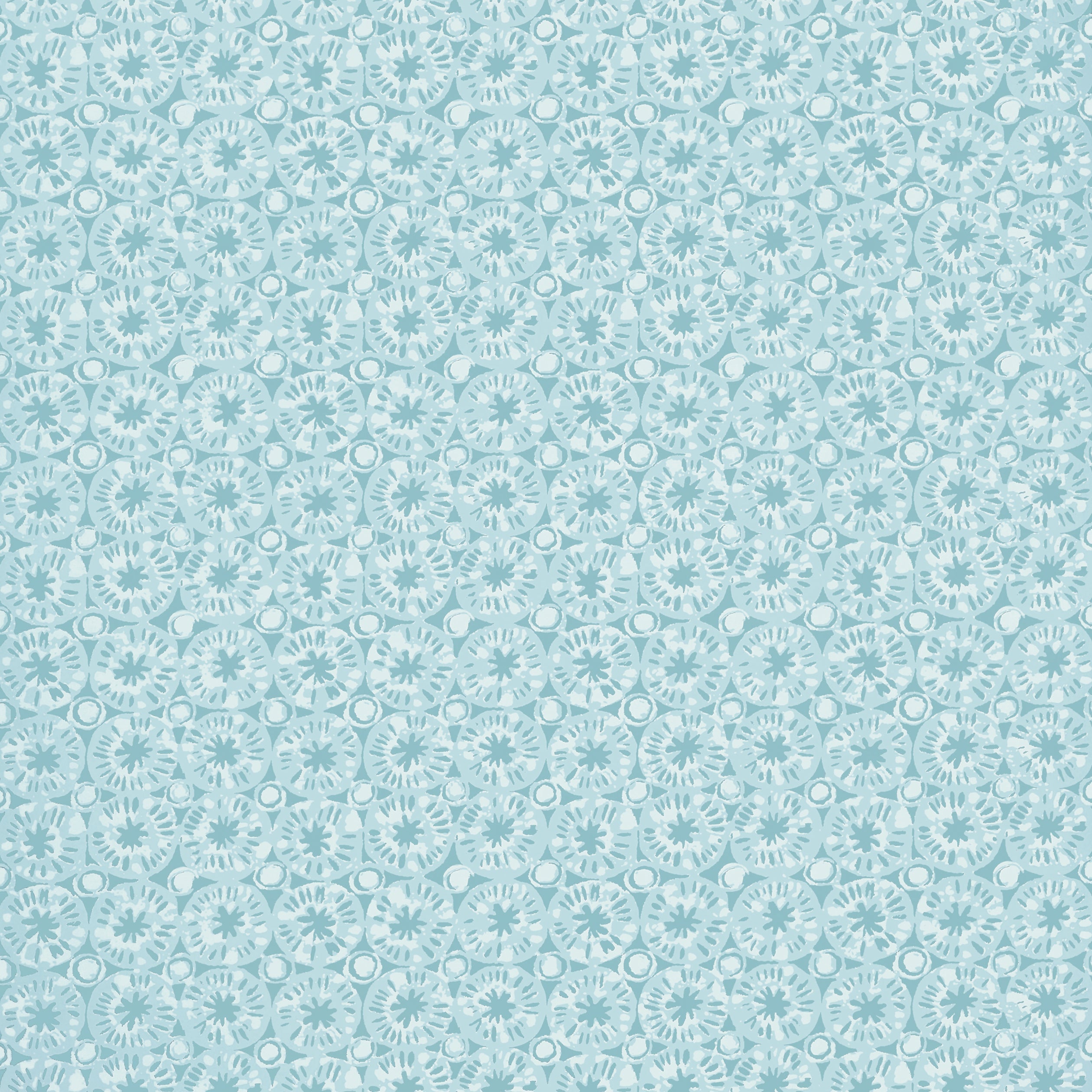 SAND DOLLAR - Seaglass