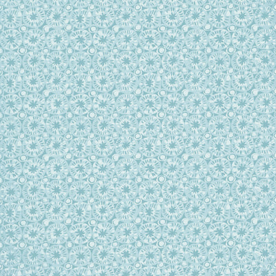 SAND DOLLAR - Seaglass