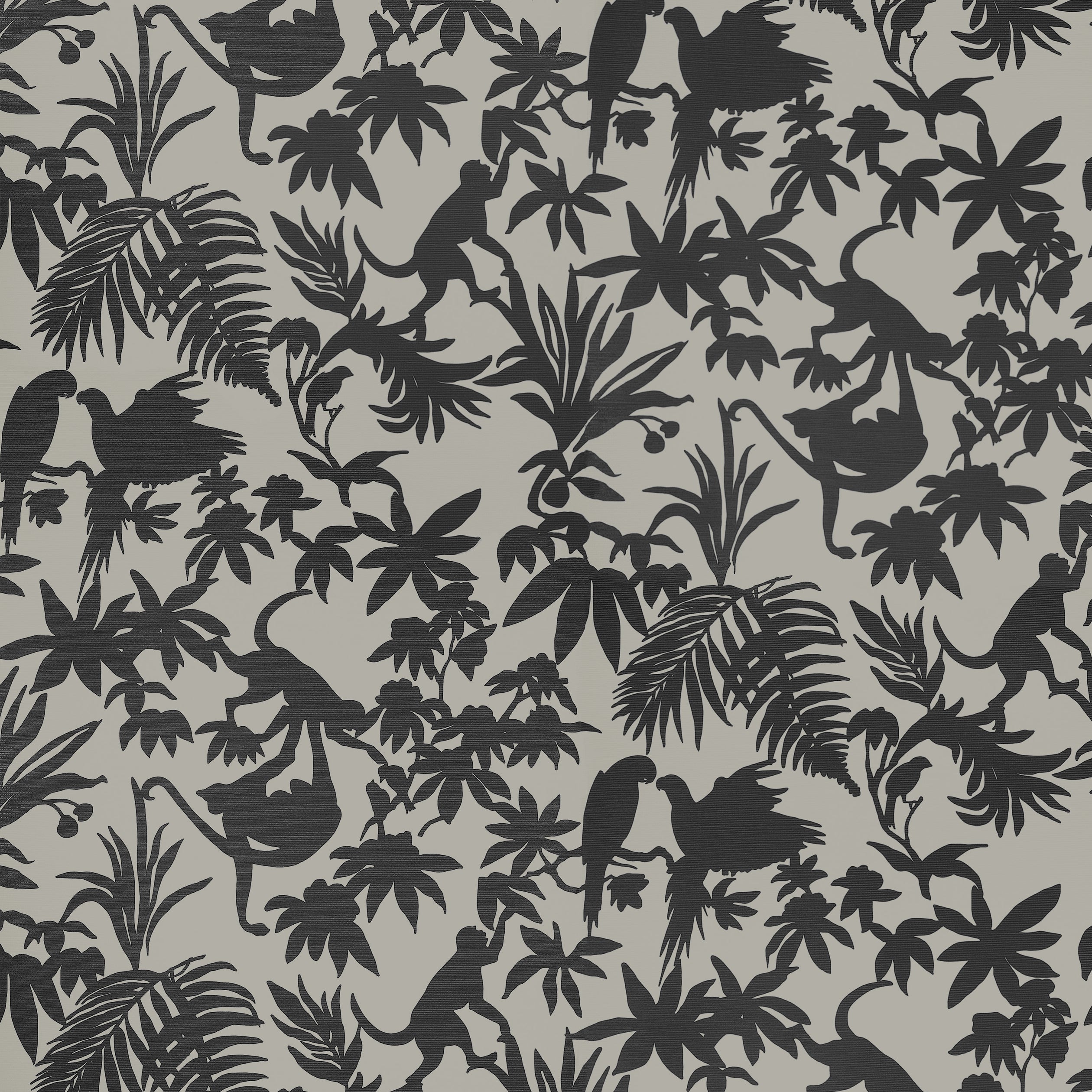 ST. KITTS - Black and Tan