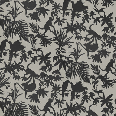 ST. KITTS - Black and Tan