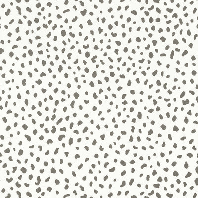 TANZANIA - Grey