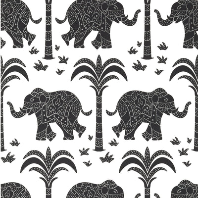 ELEPHANT - Black
