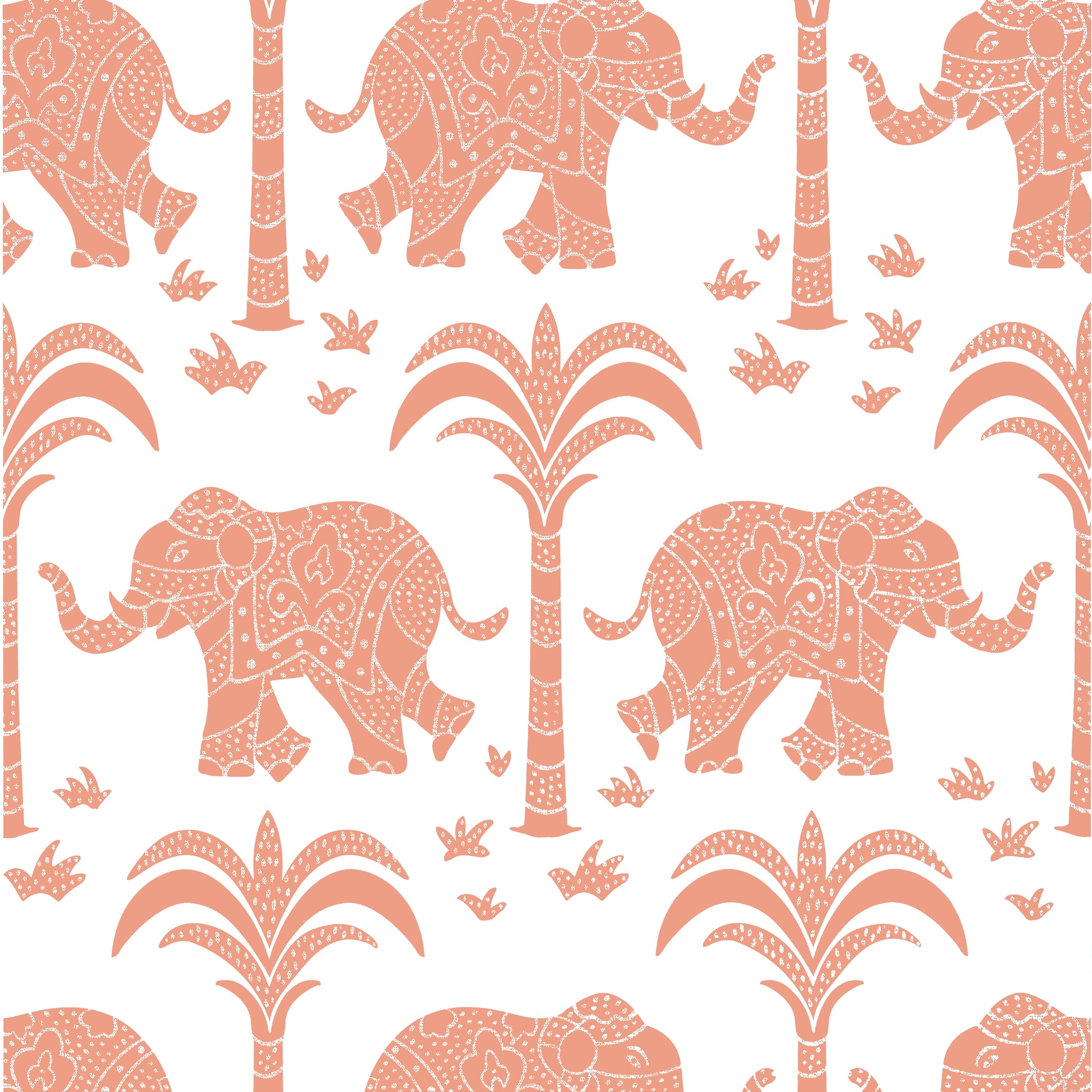 ELEPHANT - Coral