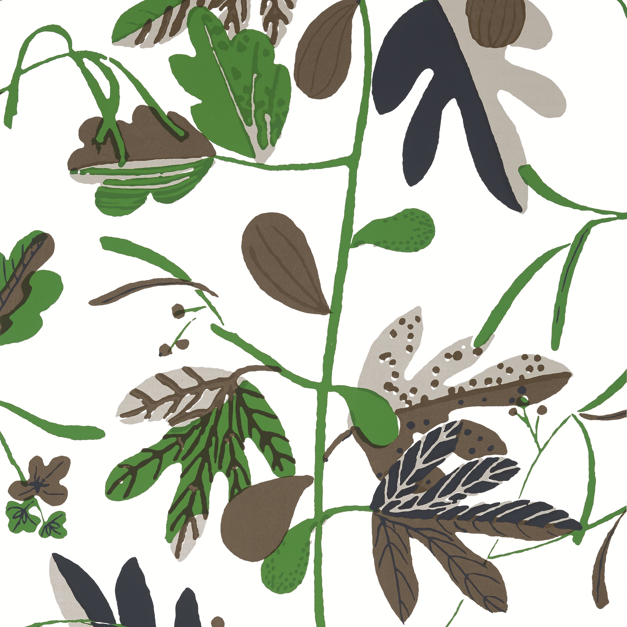 MATISSE LEAF - Black and Green